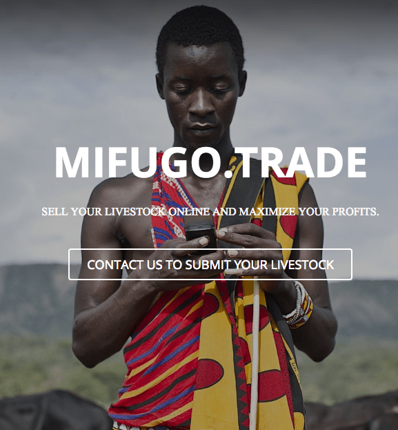 mifugo cow selling.png