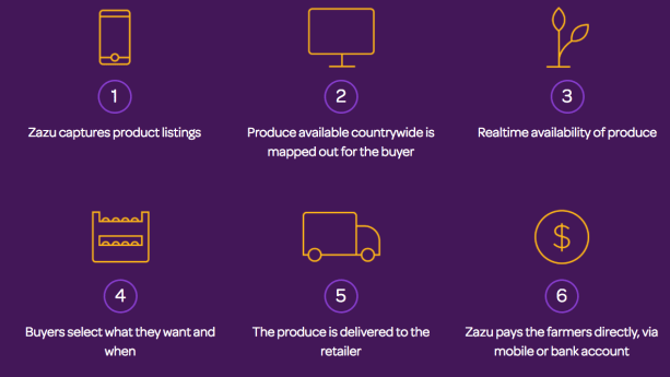 Zazu-how does it work.png