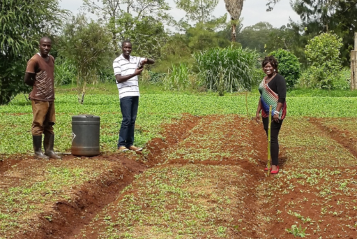 Smallholder farm visit Kenya.png