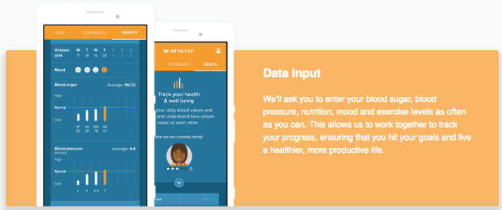 afyapap data input.png