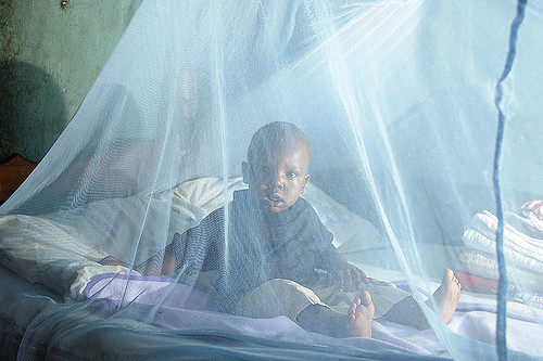 malaria net africa.jpg