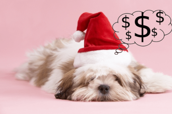 sad dog christmas money debt.png